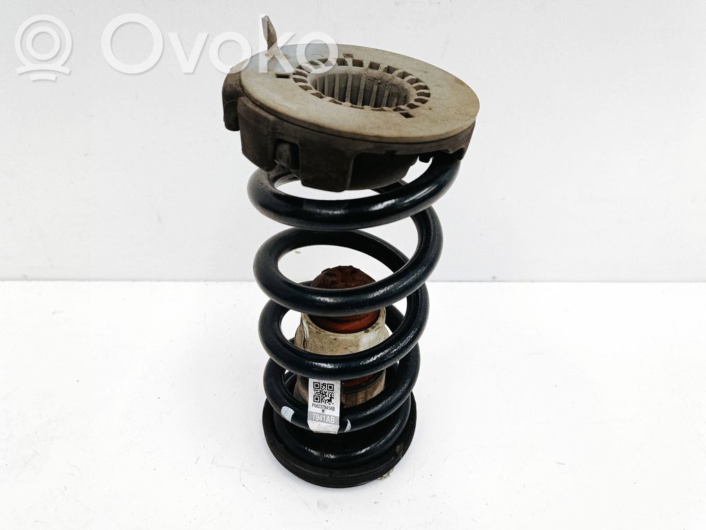 Chrysler Pacifica Rear coil spring 