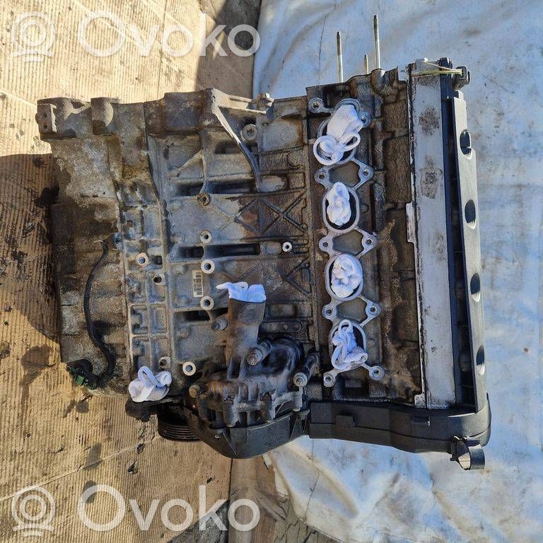 Engine   EW10D