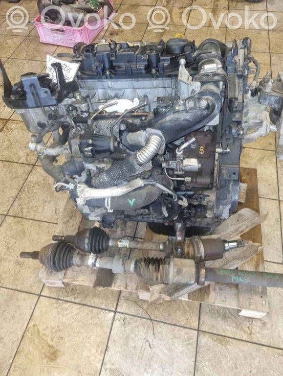 Ford Focus Двигатель 