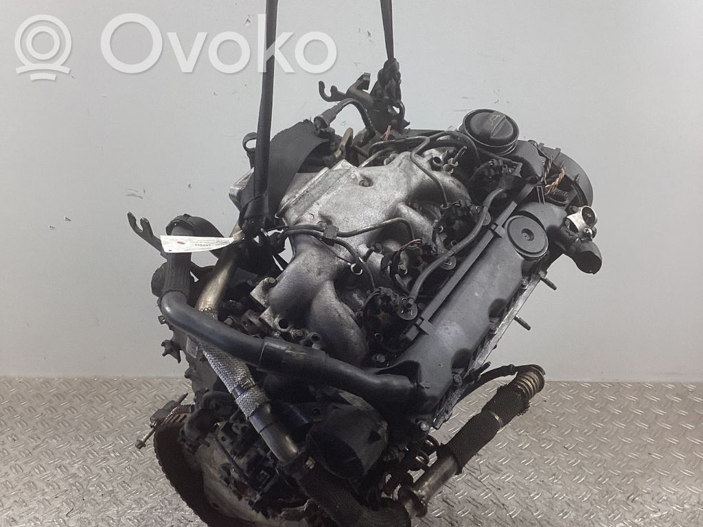 Motore