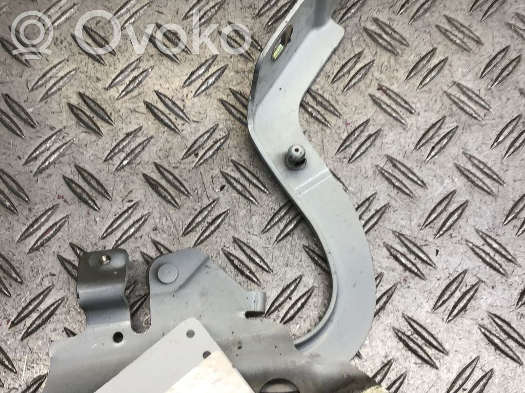 Renault Zoe Dzinēja pārsega eņģe (-es) 