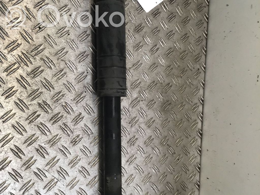 Rear shock absorber/damper