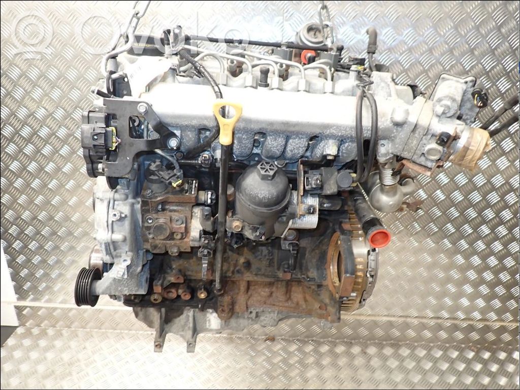 Variklis   Z46412AZ00