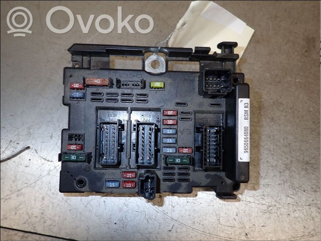 Peugeot 307 Fuse module 