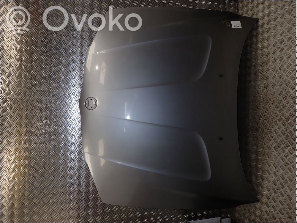 Capó/tapa del motor   41003449411