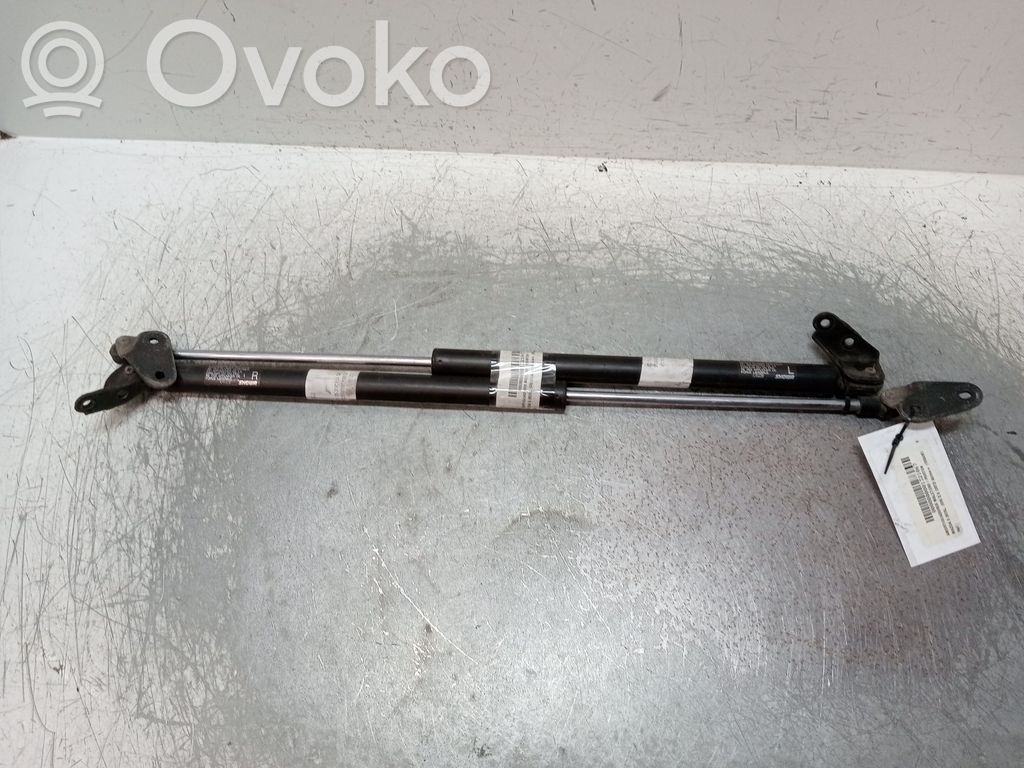 Tailgate/trunk strut/damper