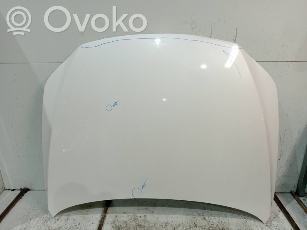 Dzinēja pārsegs (vāks)
