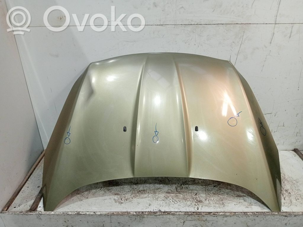 Engine bonnet/hood