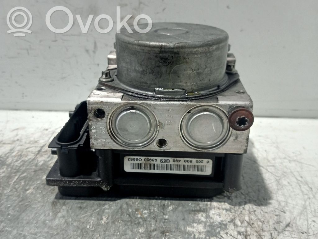 ABS Pump   0265800498,0265232167,8200955226