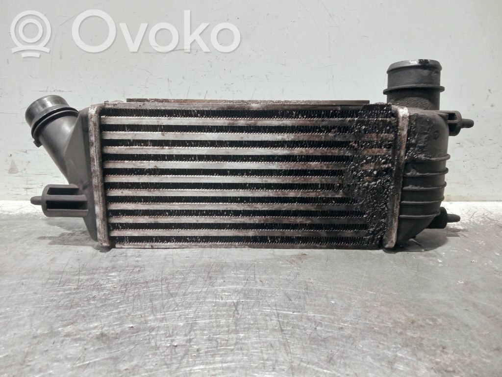 Peugeot Expert Intercooler radiator 