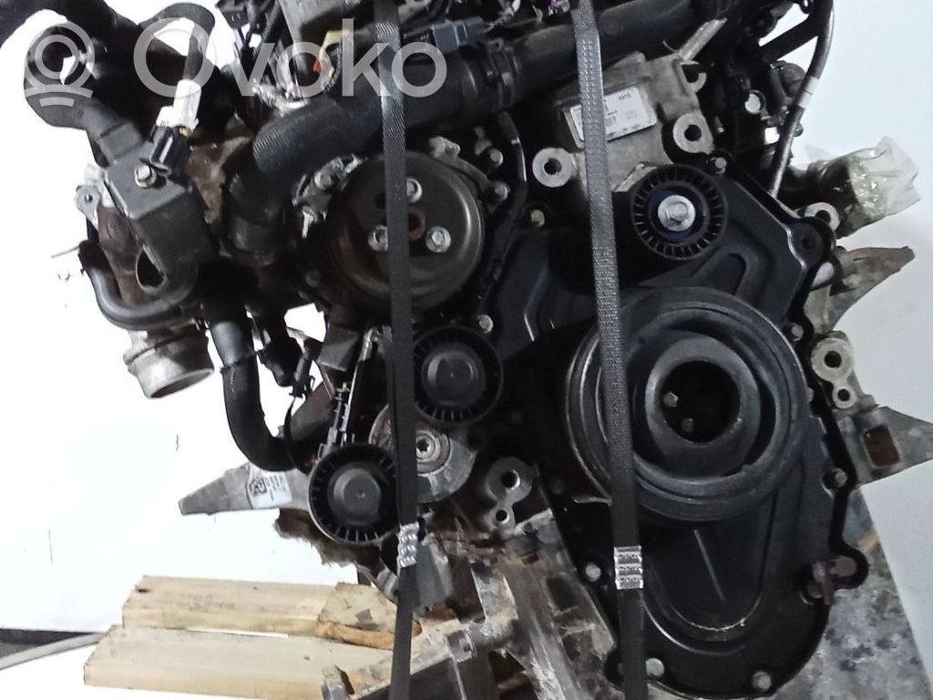 Motor   PT204,1711170504