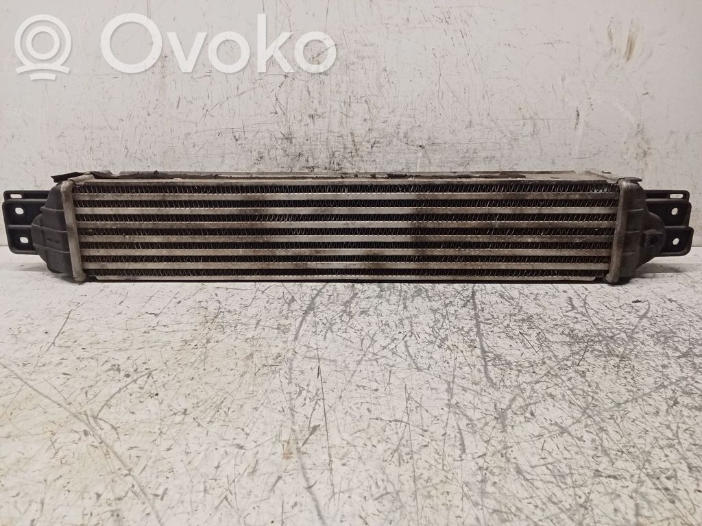 Intercooler radiator   622155,96629070