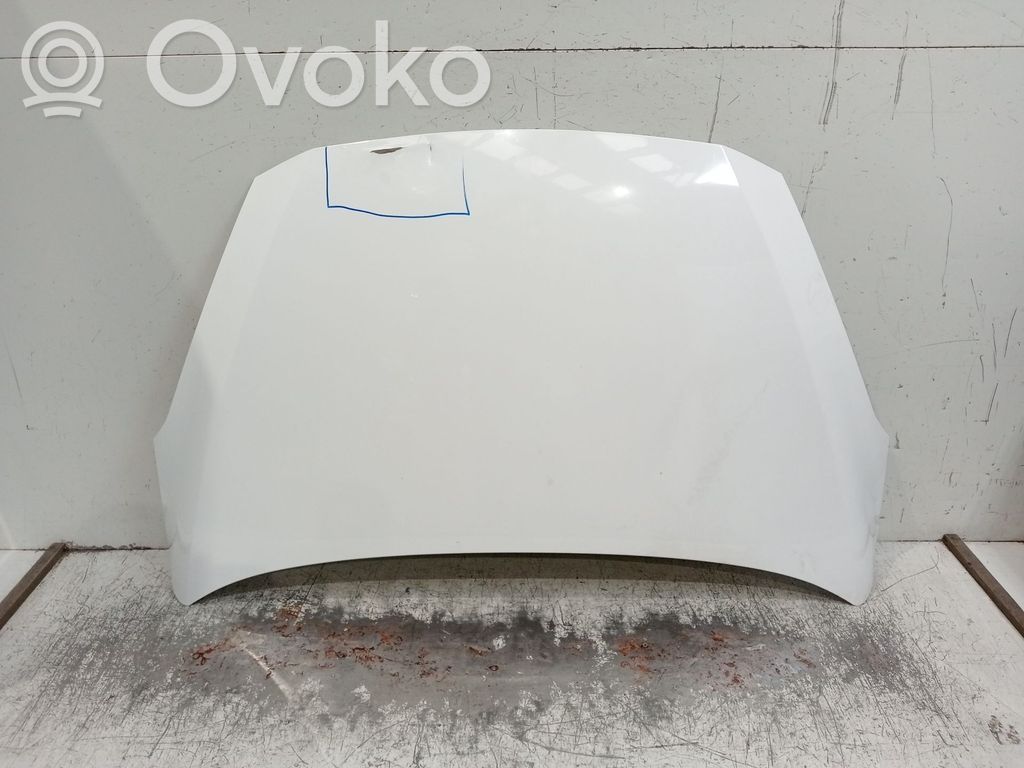 Dzinēja pārsegs (vāks)