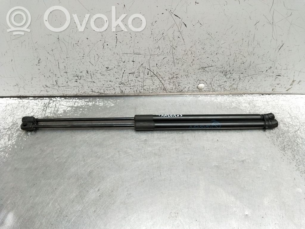 Ford Fiesta Tailgate/trunk strut/damper 