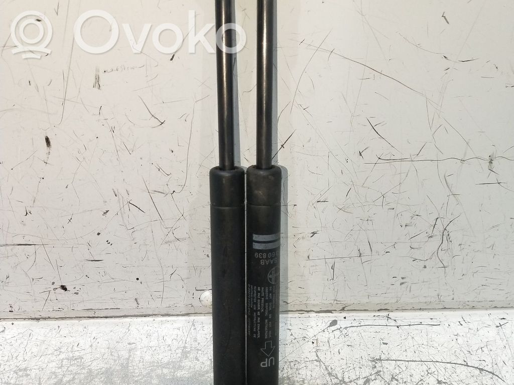 Tailgate/trunk strut/damper   5360839,4P