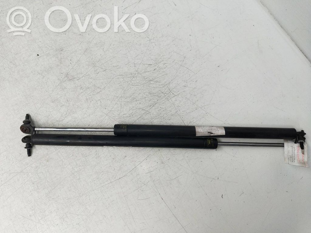 Tailgate/trunk strut/damper