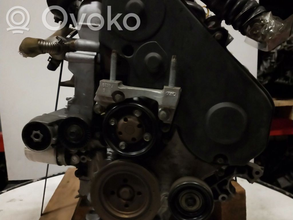 Ford Focus Engine 