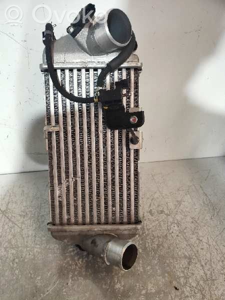 Radiador intercooler   2827004610,0461