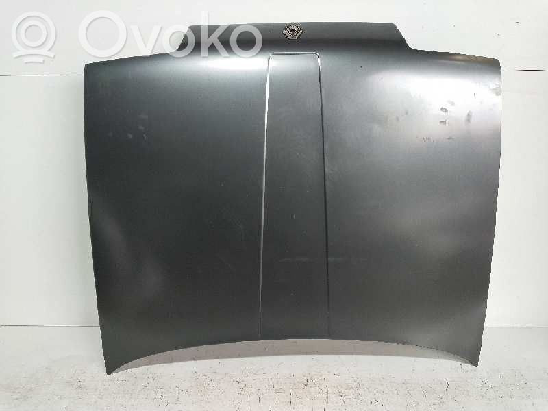 Engine bonnet/hood