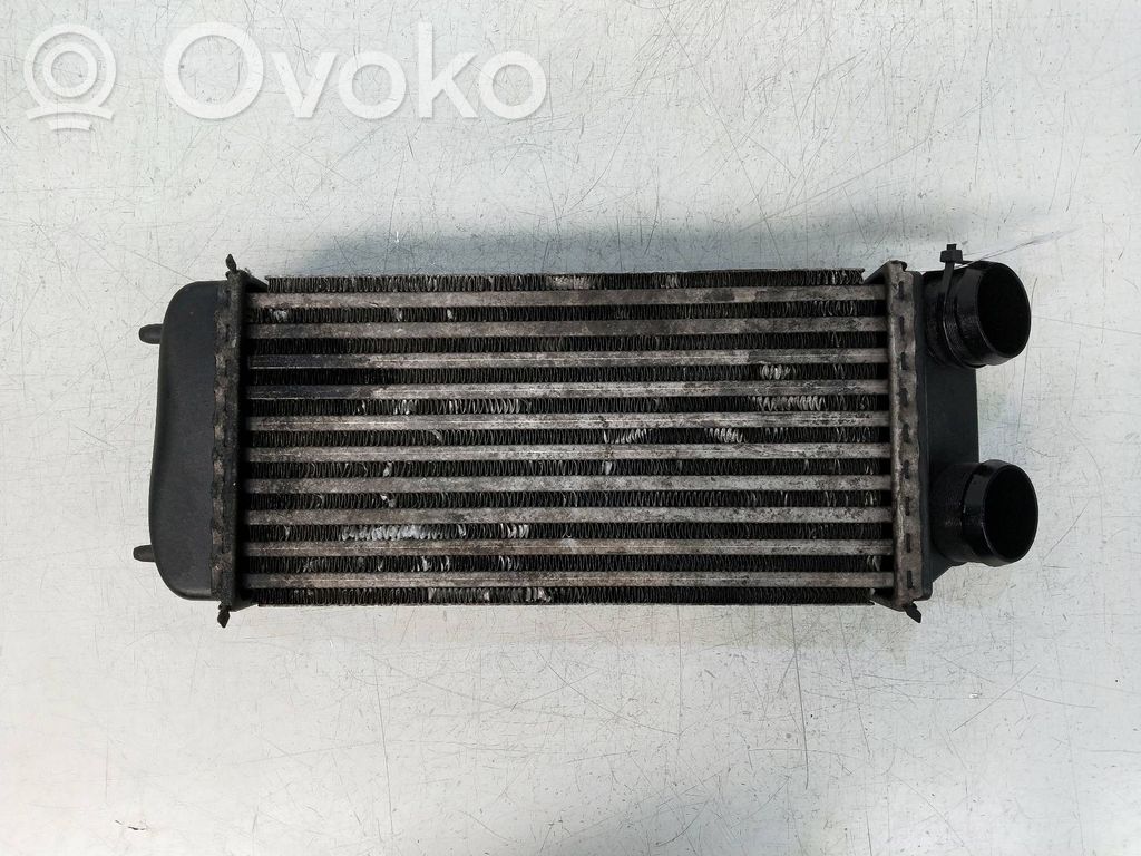 Peugeot 206 Interkūlerio radiatorius 