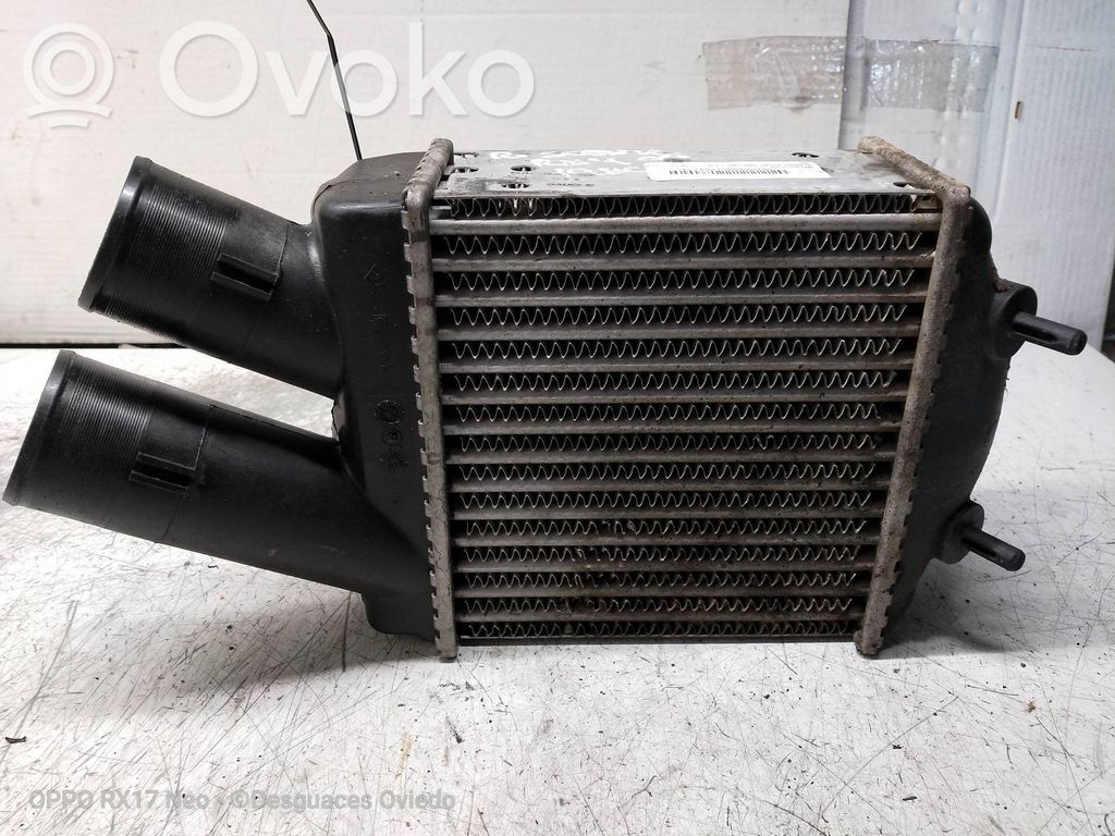 Intercooler radiator