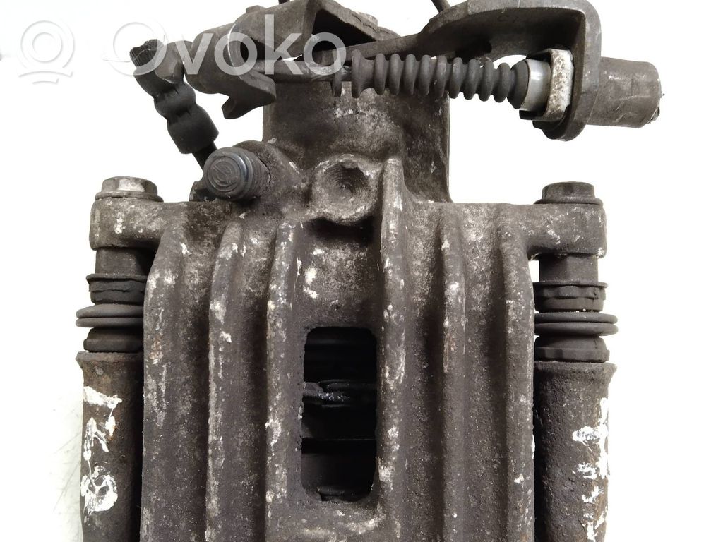 Takajarrusatula   20TDI