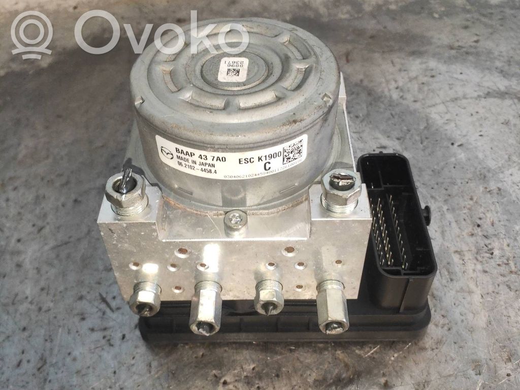 ABS Pump   06210979493,06210244584