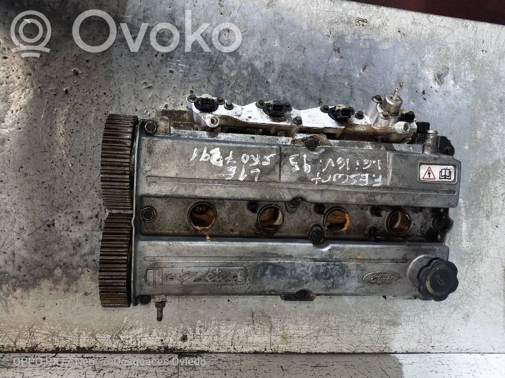 Ford Escort Galvutė 