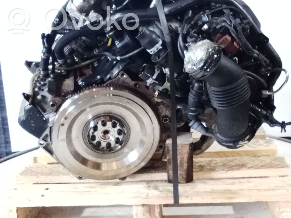 Engine   TXDB,DELPHI,DR00263