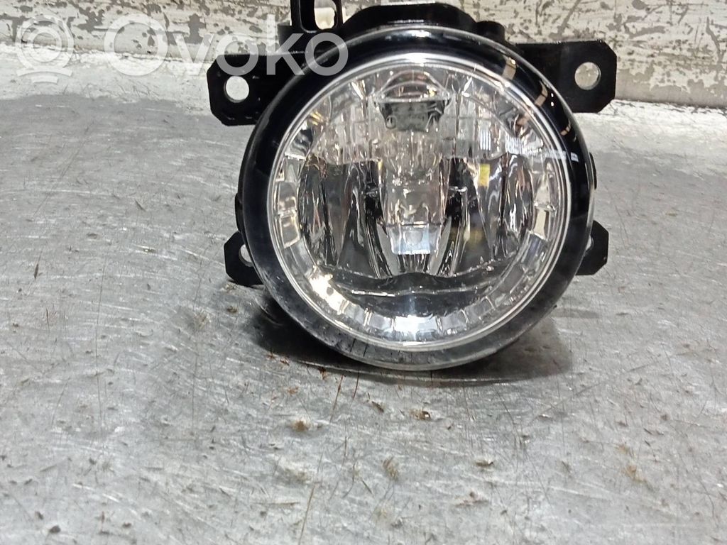 Nebelscheinwerfer vorne   E3B515B243AA