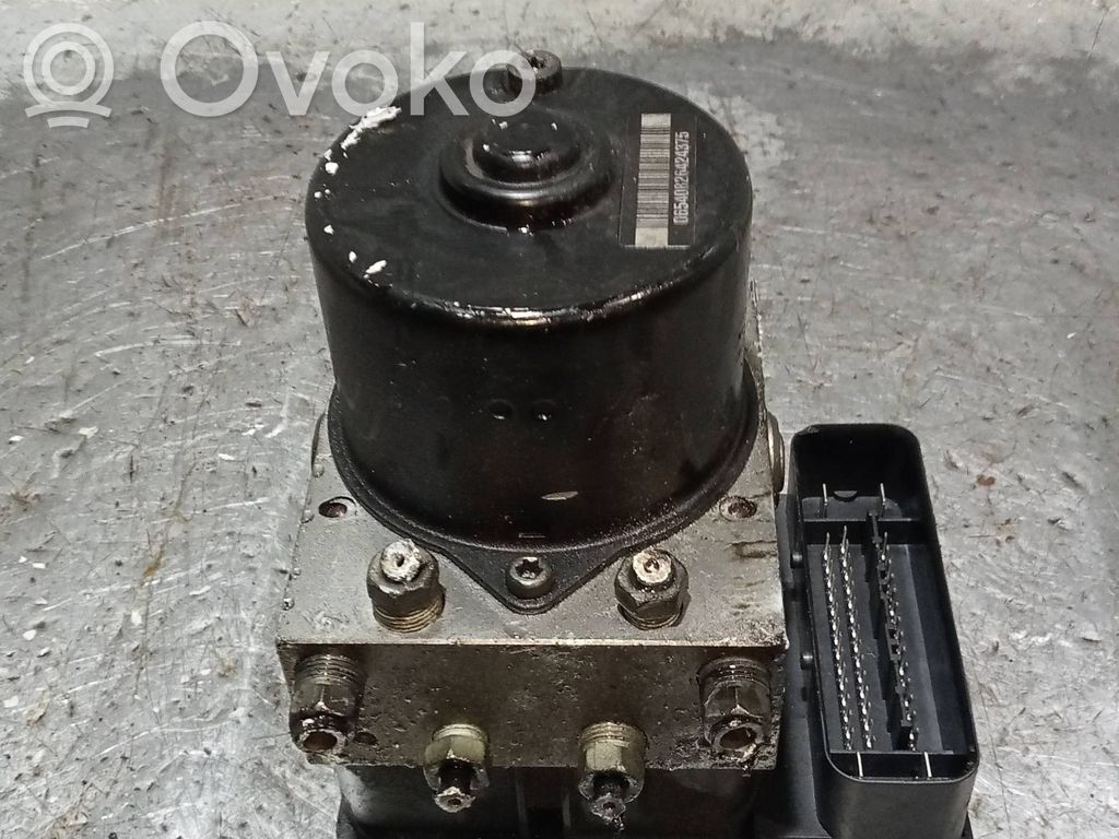 ABS Pump   10096004293