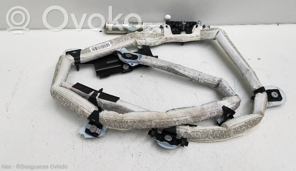 Airbag de la puerta delantera   85696664603L