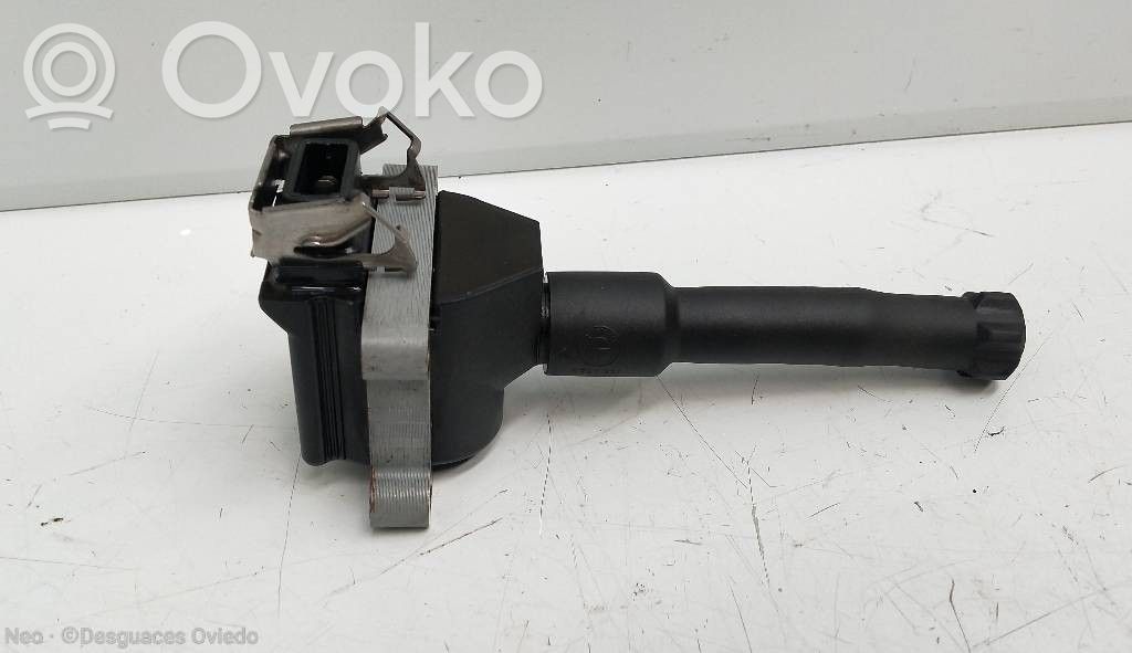 High voltage ignition coil   1731134