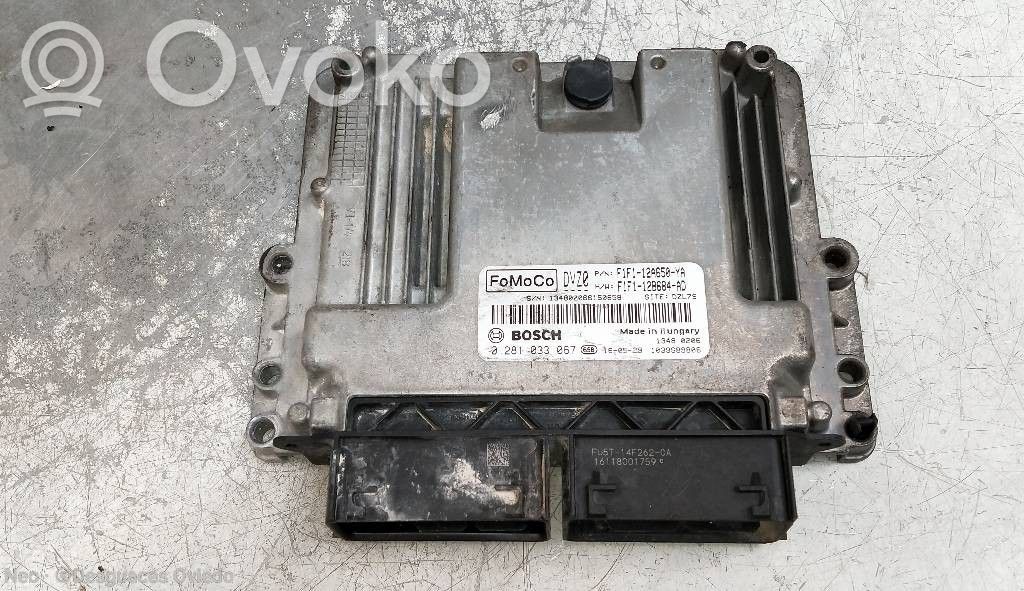 Ford Focus Engine control unit/module 