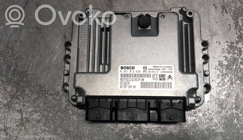 Citroen C5 Engine control unit/module 