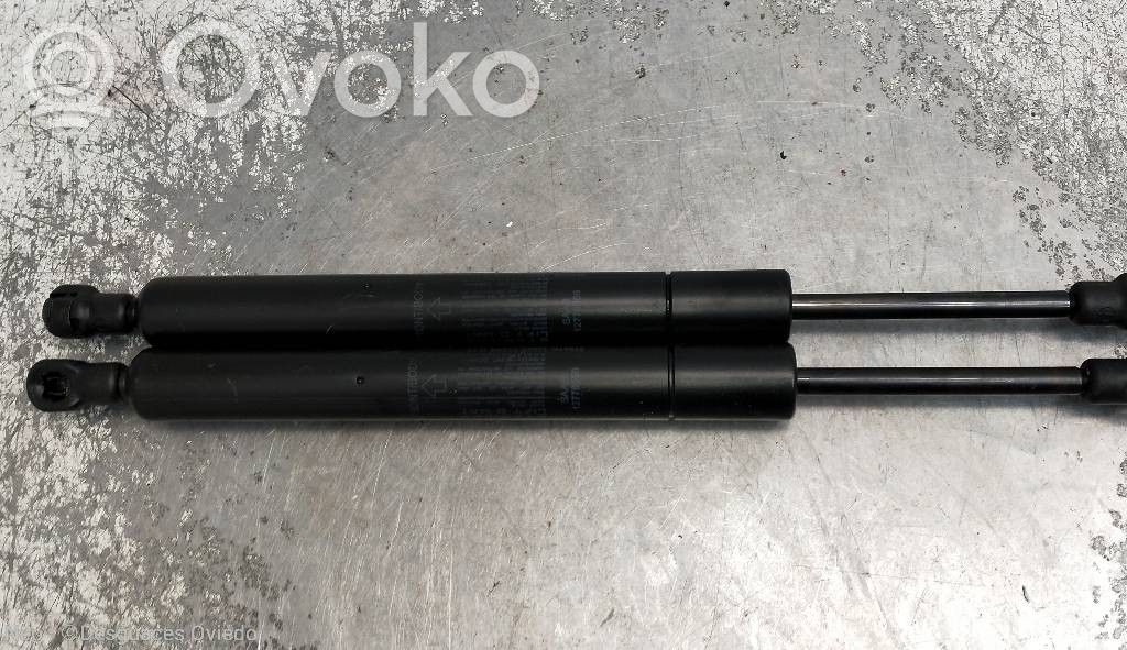 Tailgate/trunk strut/damper   12778556