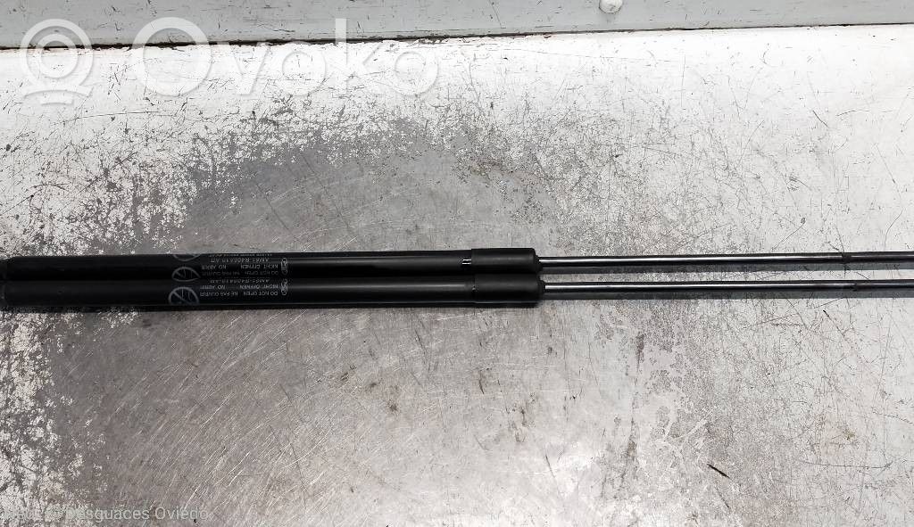 Ford C-MAX I Tailgate/trunk strut/damper 