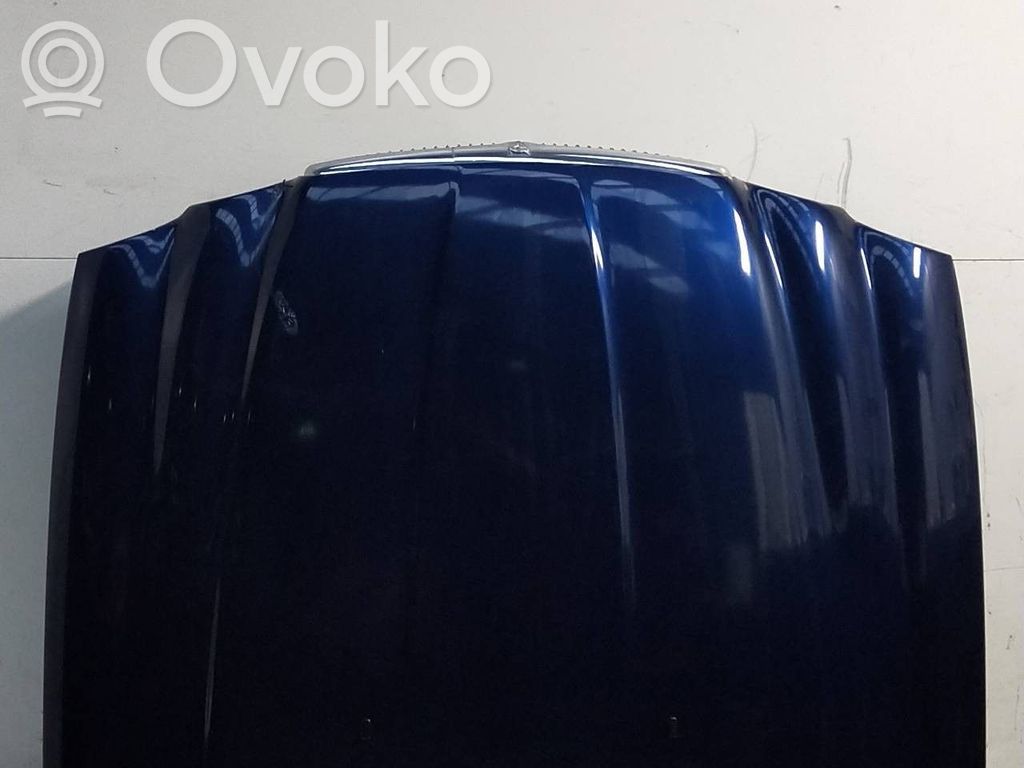 Dangtis variklio (kapotas)