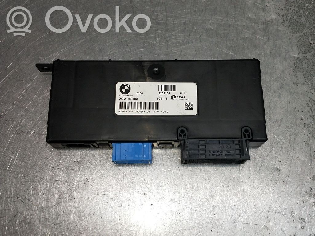 Other control units/modules   104113,532506,9232164