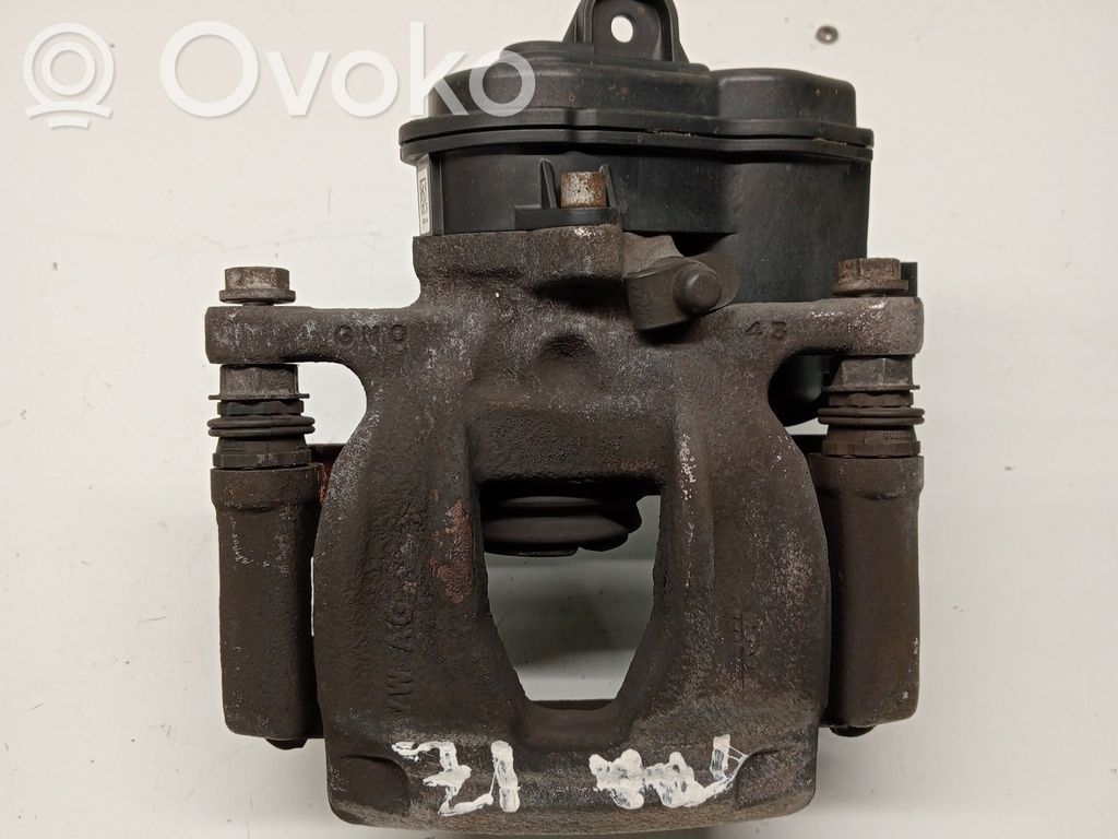 Takajarrusatula   8W0405BA