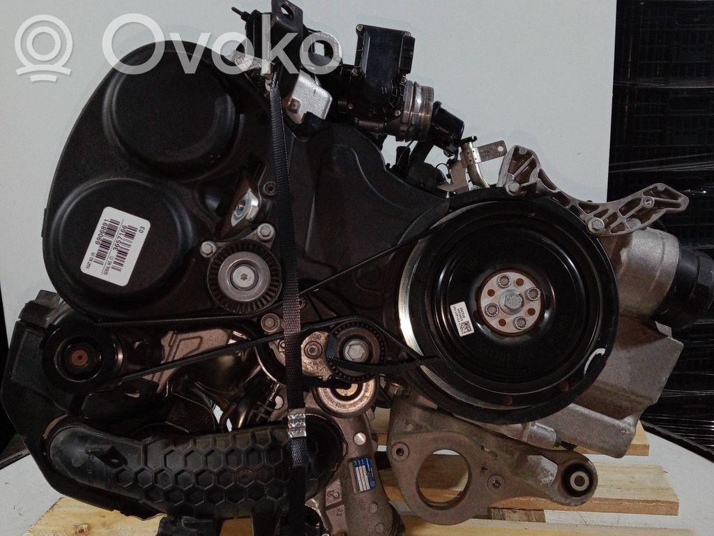 Variklis   B4204T48,3657166