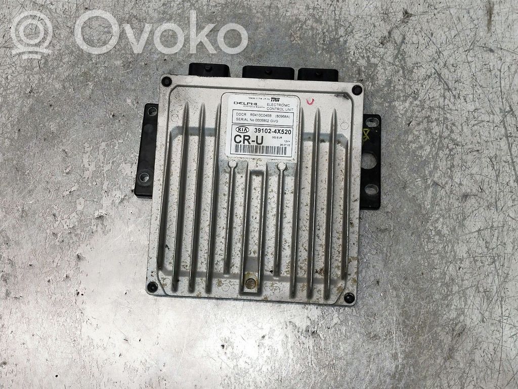 Engine control unit/module   R0410C045B,391024X520