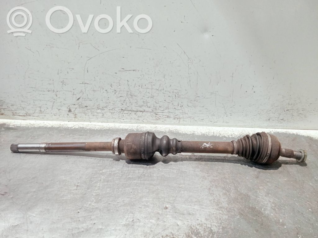 Front driveshaft   19D