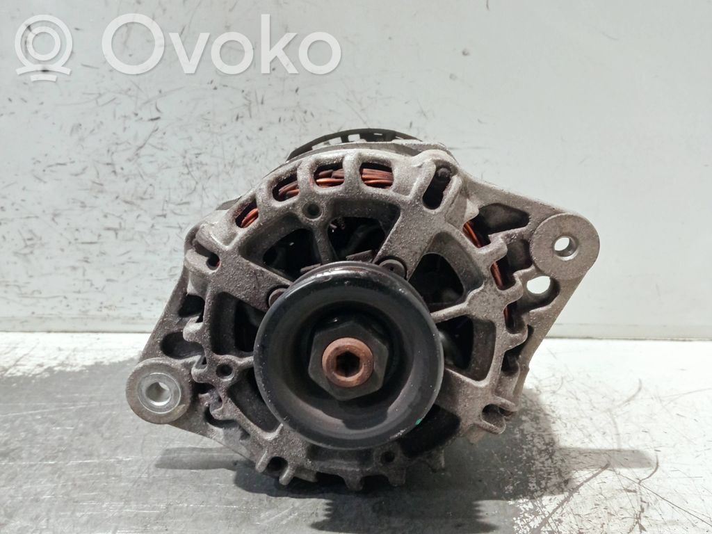Generator/alternator   96404263,2655476