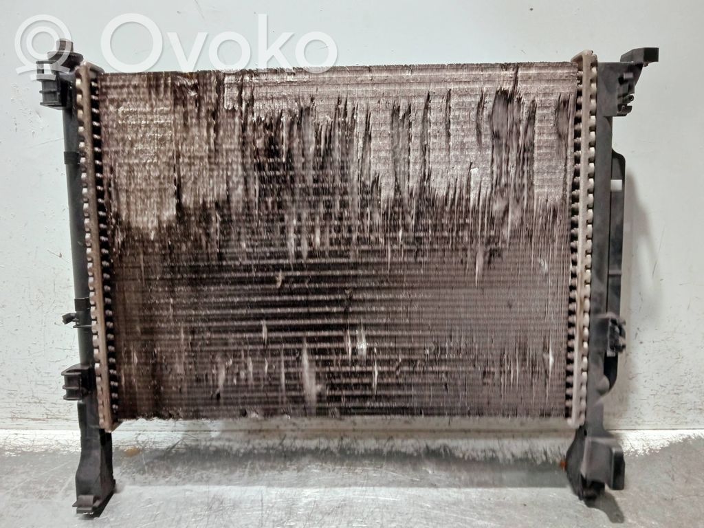 Renault Kangoo II Coolant radiator 