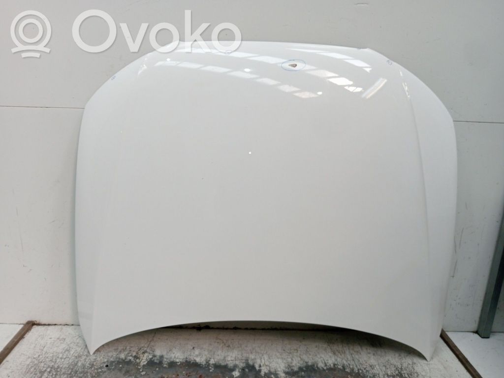 Engine bonnet/hood