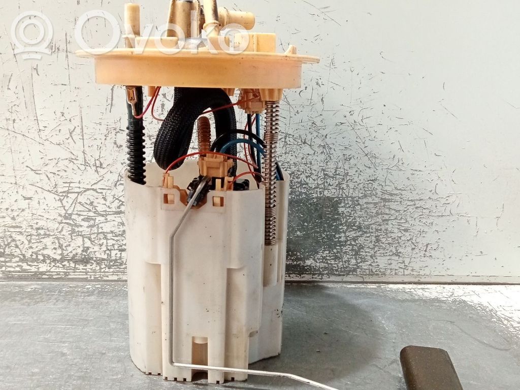 Pompe à carburant   E1G39H307BC,0580203158