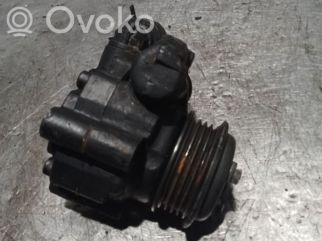 Насос усилителя руля   20D