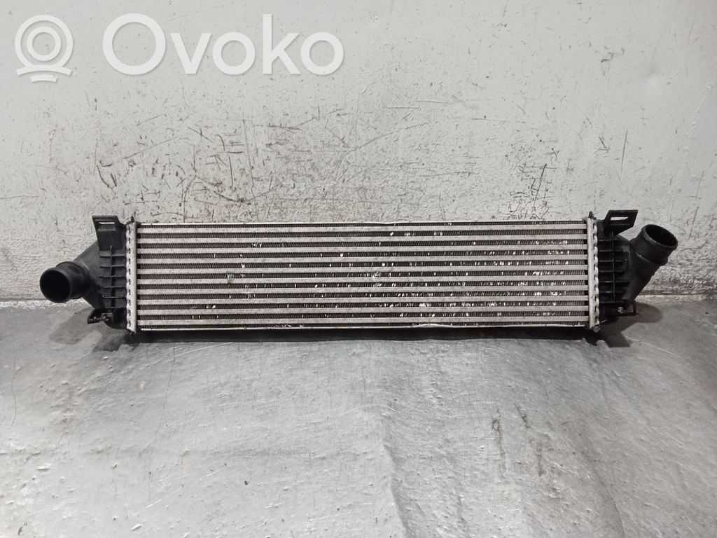 Interkūlerio radiatorius   8V619L440AC,20TDCI