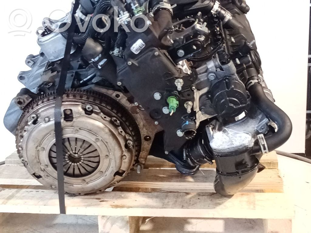 Engine   RHY10DYLP,BOSCH,3064540